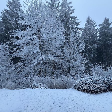 Apartment Maja Unmittelbar An Der Skipiste 温特贝格 外观 照片