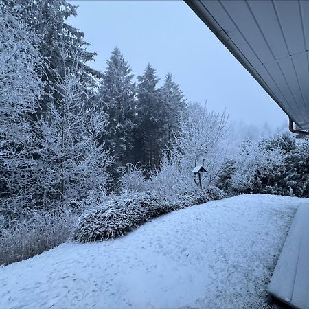 Apartment Maja Unmittelbar An Der Skipiste 温特贝格 外观 照片