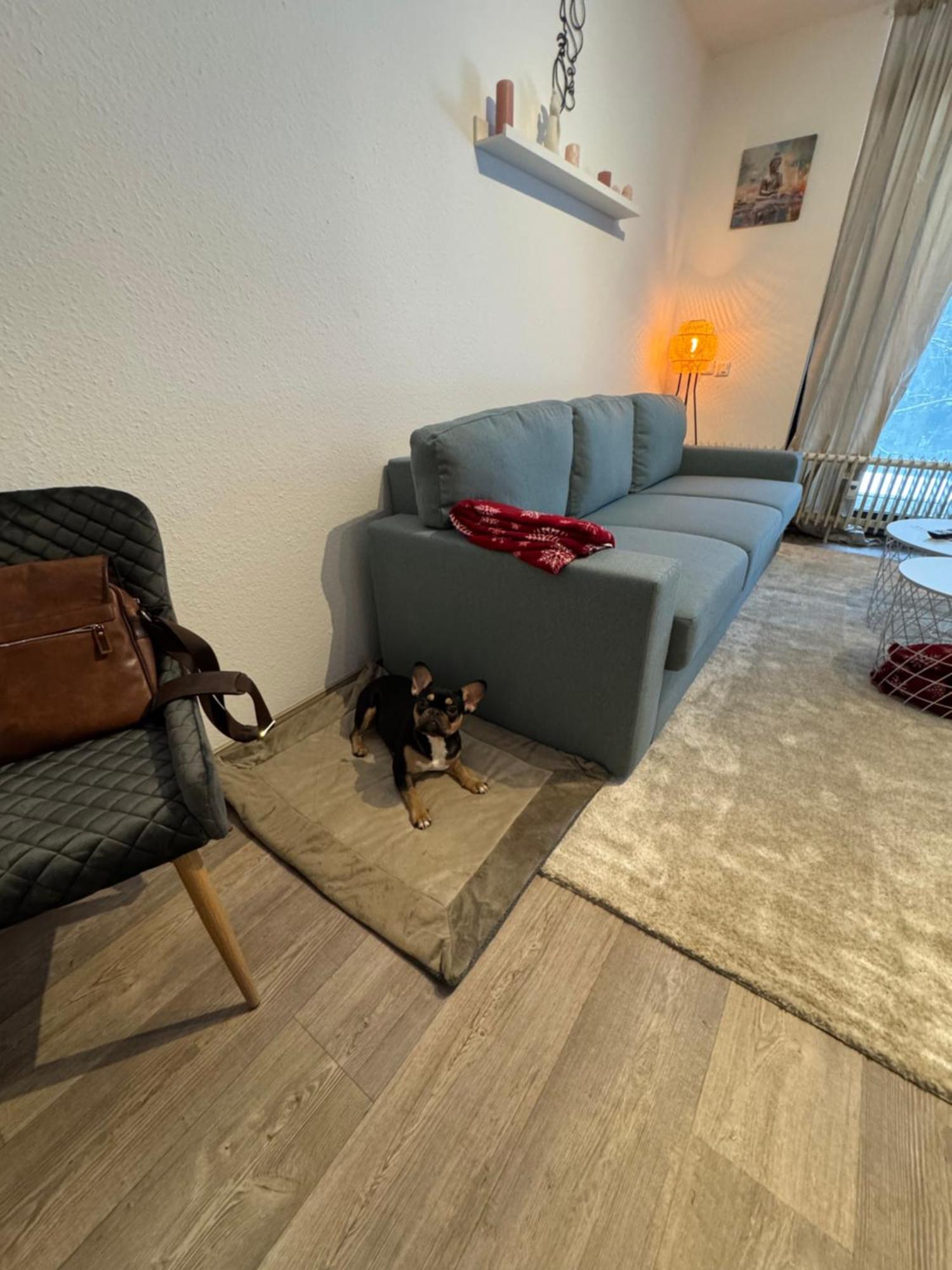 Apartment Maja Unmittelbar An Der Skipiste 温特贝格 外观 照片