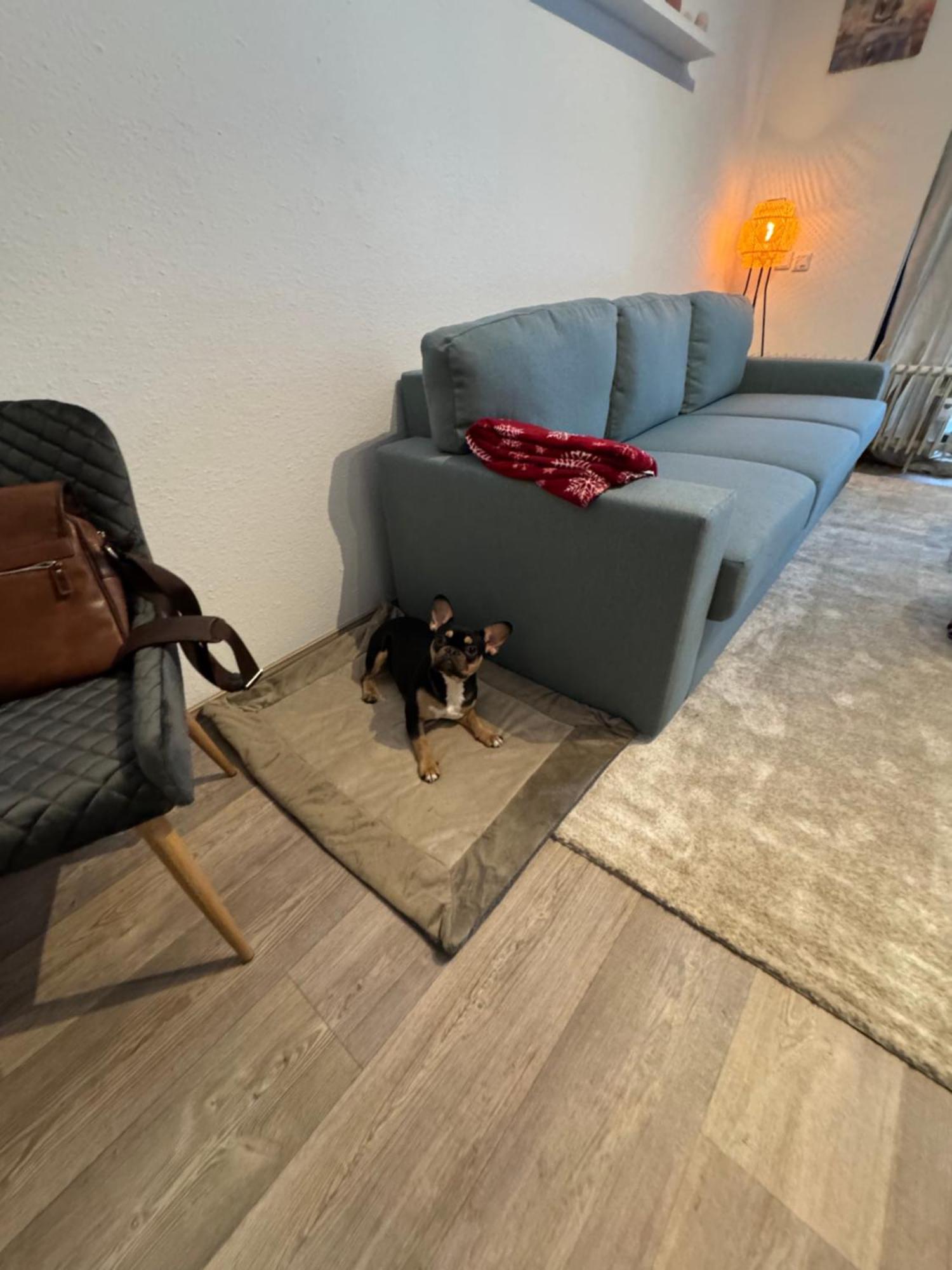 Apartment Maja Unmittelbar An Der Skipiste 温特贝格 外观 照片