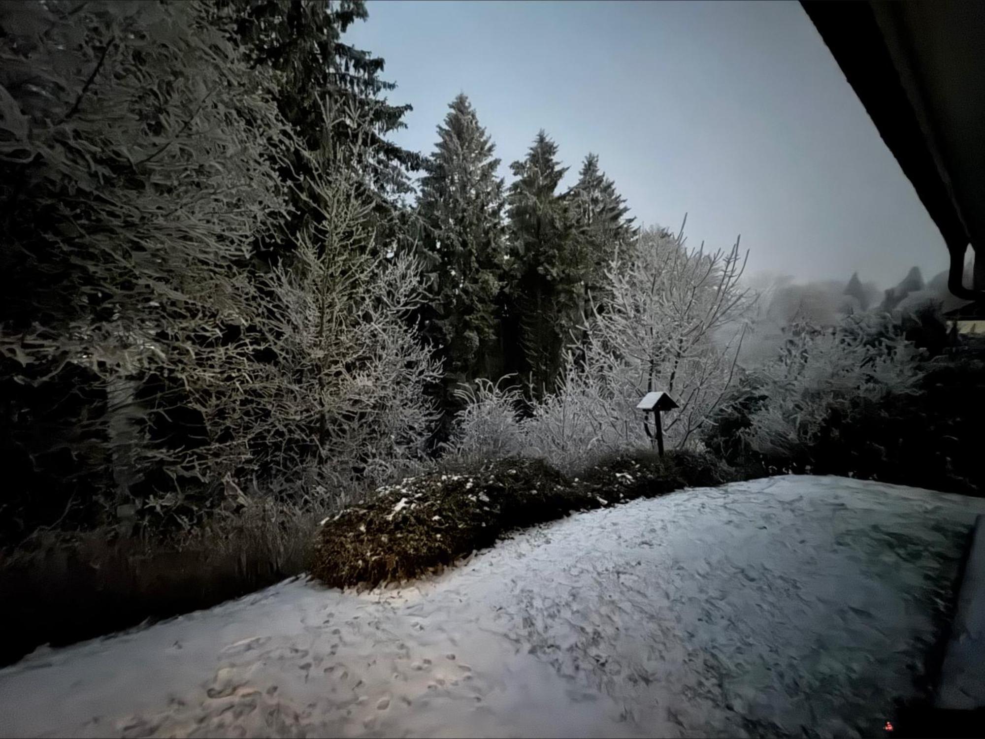 Apartment Maja Unmittelbar An Der Skipiste 温特贝格 外观 照片